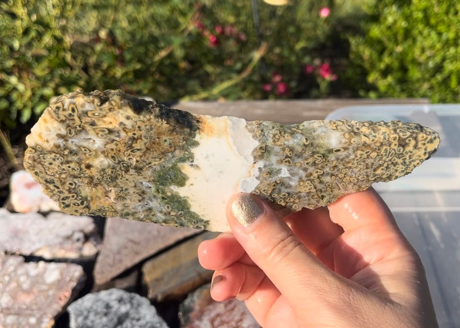 Ocean Jasper Lapidary Rock Slab - Lucky Calico Gem & Jewelry Co.