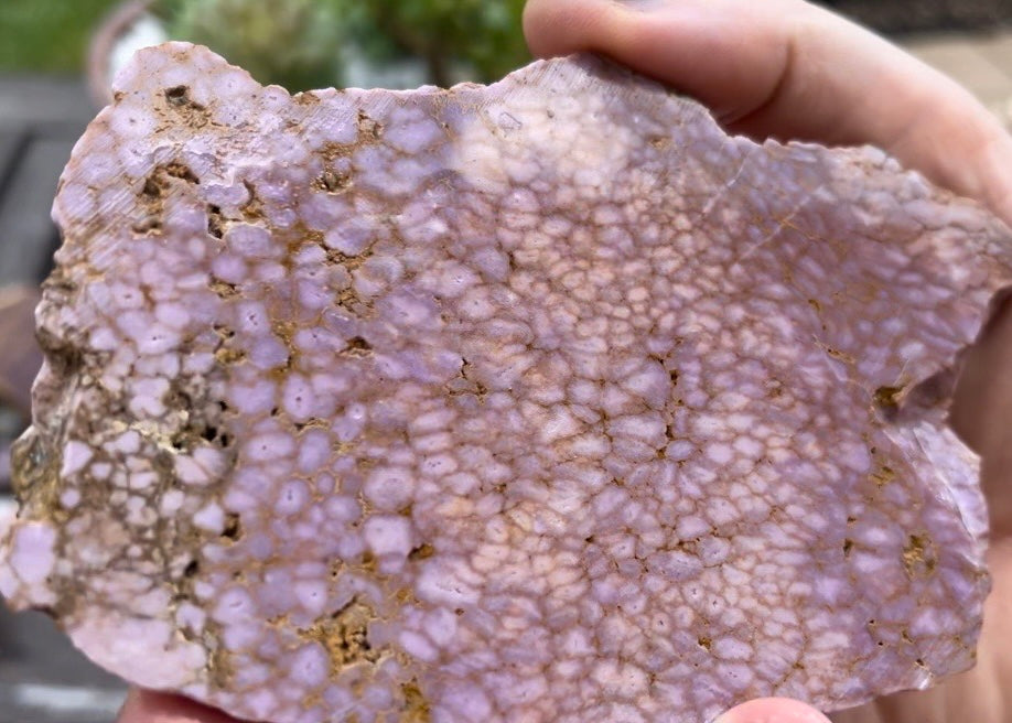 Argentina Purple Phosphosiderite Lapidary Rock Slab - Lucky Calico Gem & Jewelry Co.