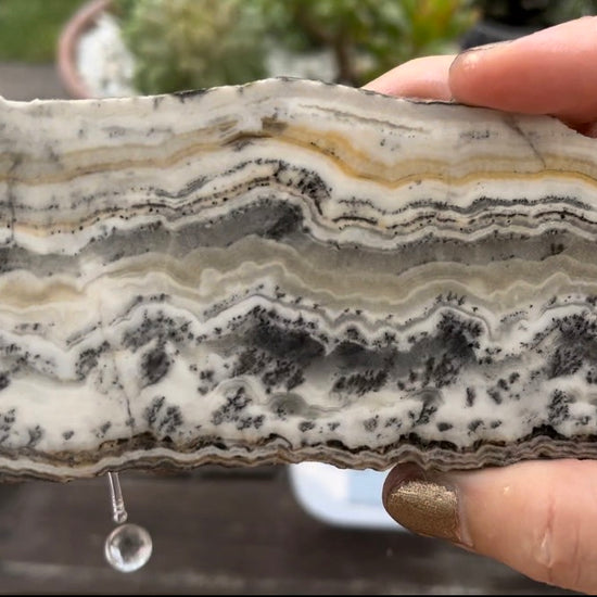 California Silver Lace Onyx Lapidary Rock Slab - Lucky Calico Gem & Jewelry Co.