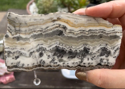 California Silver Lace Onyx Lapidary Rock Slab - Lucky Calico Gem & Jewelry Co.