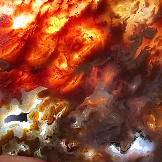 Mexican Bird of Paradise Lapidary Rock Slab - Lucky Calico Gem & Jewelry Co.