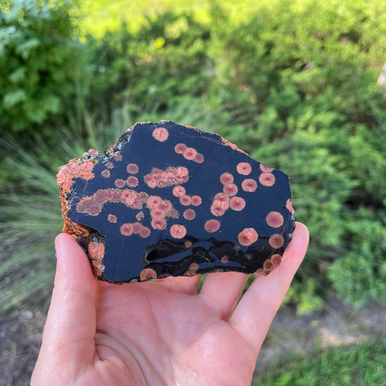 Mexico Peanut Obsidian Lapidary Rock Slab - Lucky Calico Gem & Jewelry Co.
