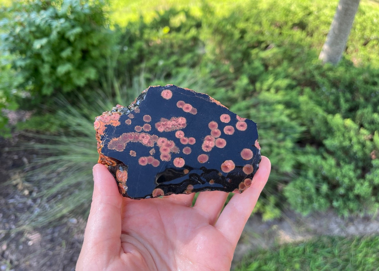 Mexico Peanut Obsidian Lapidary Rock Slab - Lucky Calico Gem & Jewelry Co.