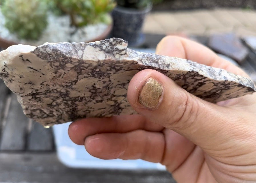 Viper Jasper Lapidary Rock Slab - Mexico