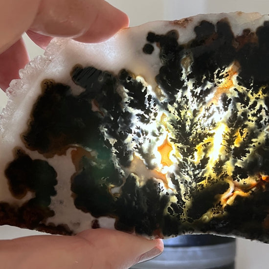 Texas Woodward Ranch Plume Agate Lapidary Rock Slab