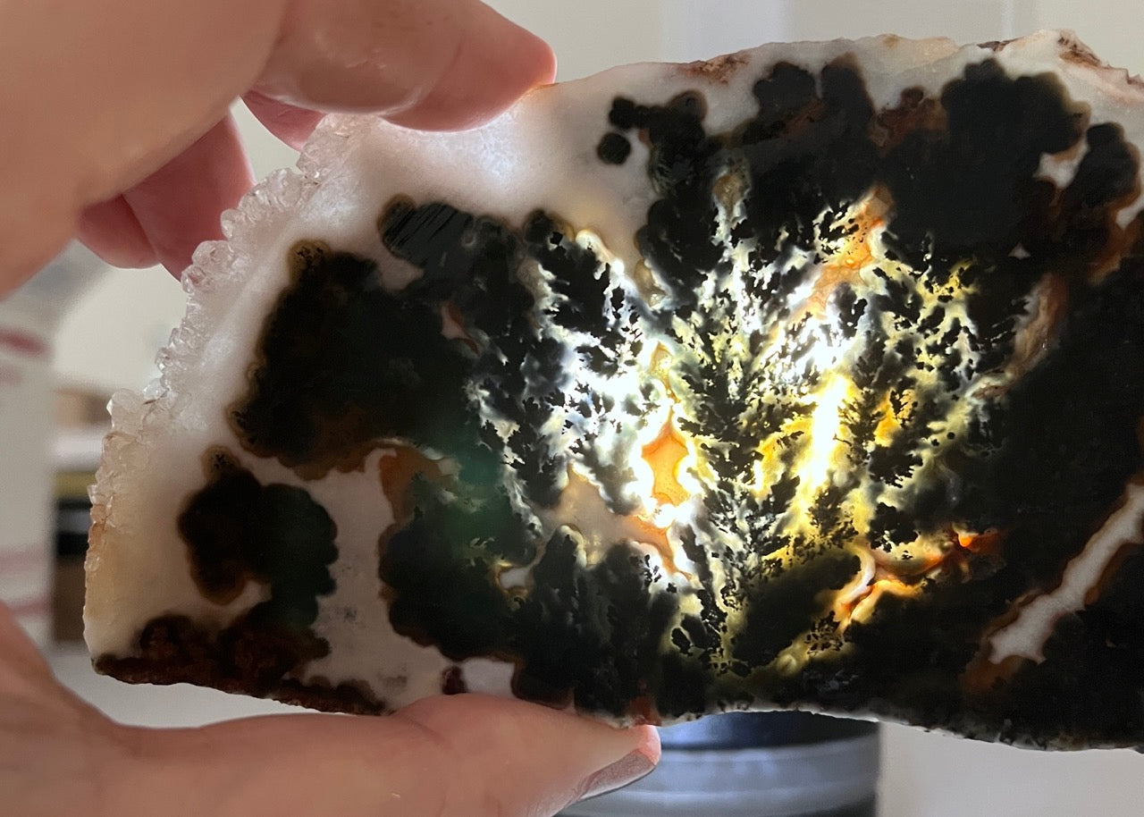 Texas Woodward Ranch Plume Agate Lapidary Rock Slab