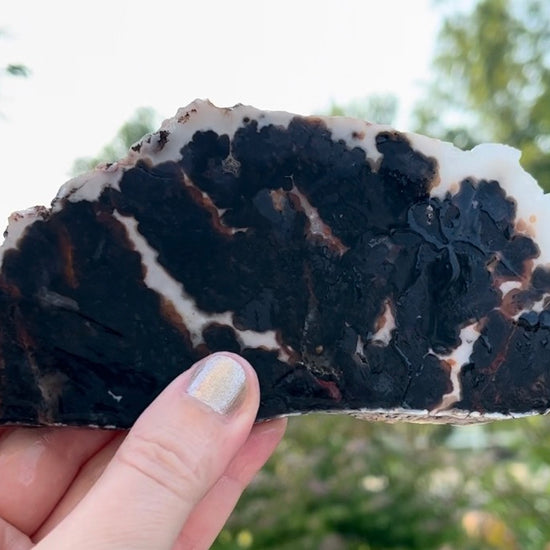 Texas Woodward Ranch Plume Agate Lapidary Rock Slab