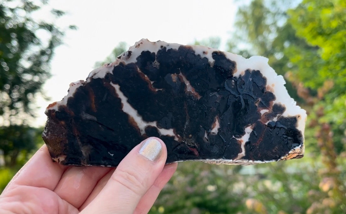 Texas Woodward Ranch Plume Agate Lapidary Rock Slab